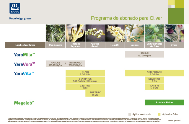 Plan de abonado olivo