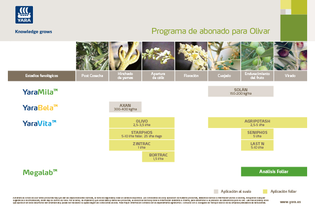 Plan de abonado olivo