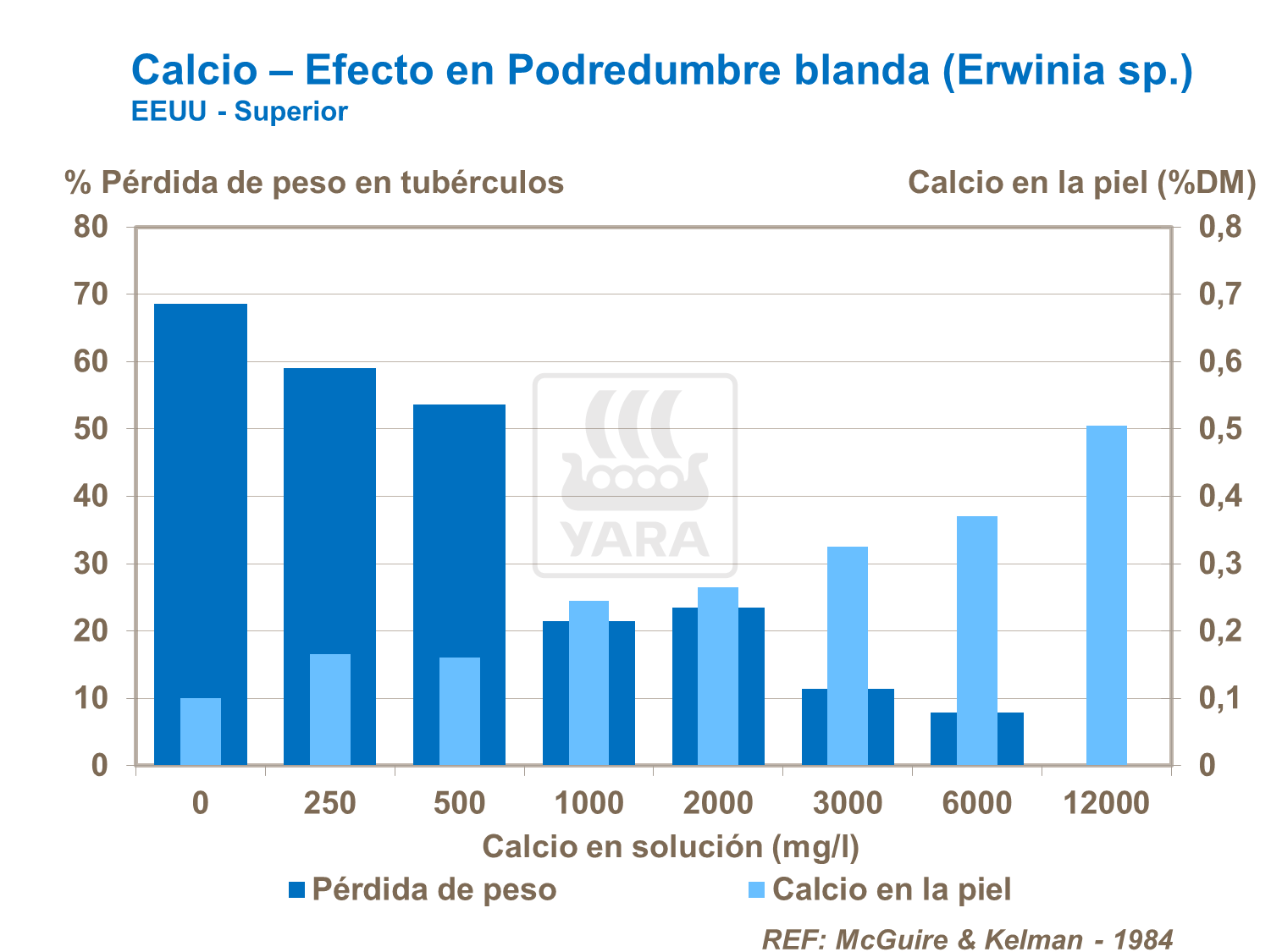 Podredumbre blanda