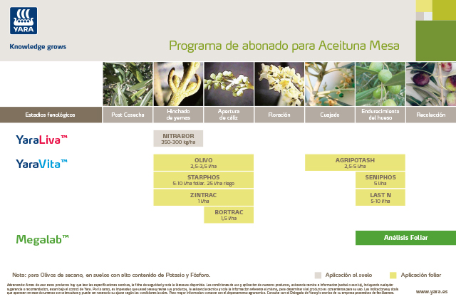 Plan de abonado aceituna de mesa