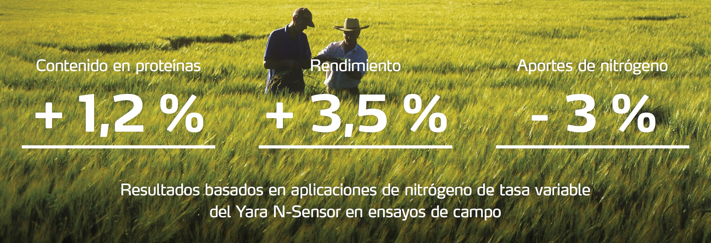 Mejoras en la proteína, el rendimiento y el nitrógeno