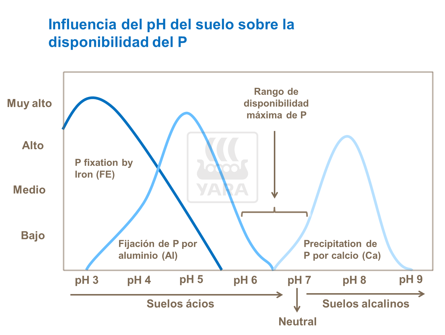abonos, yara, abono