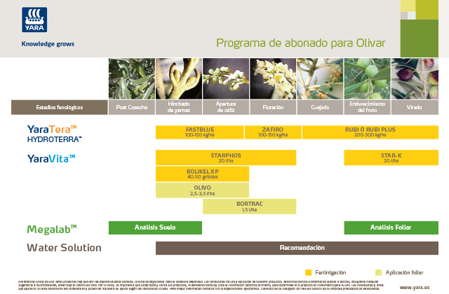Plan de abonado olivo