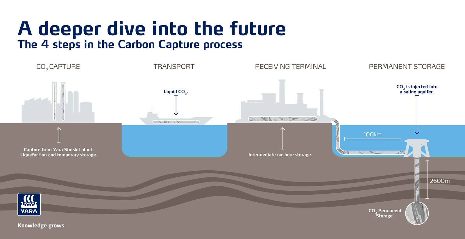 Los 4 pasos del proceso de capturación de carbono