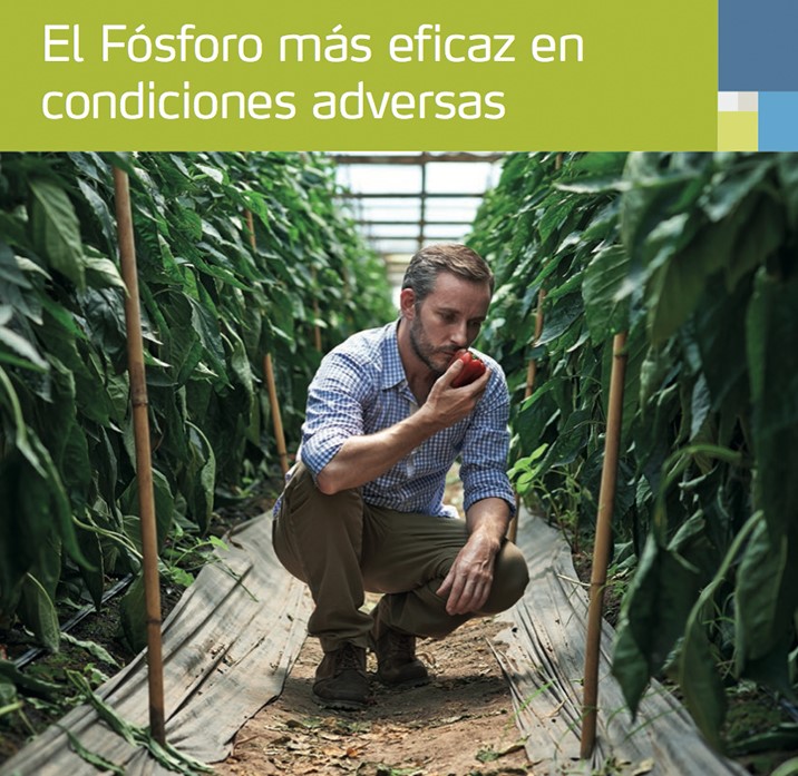 Folleto YaraVita STARPHOS