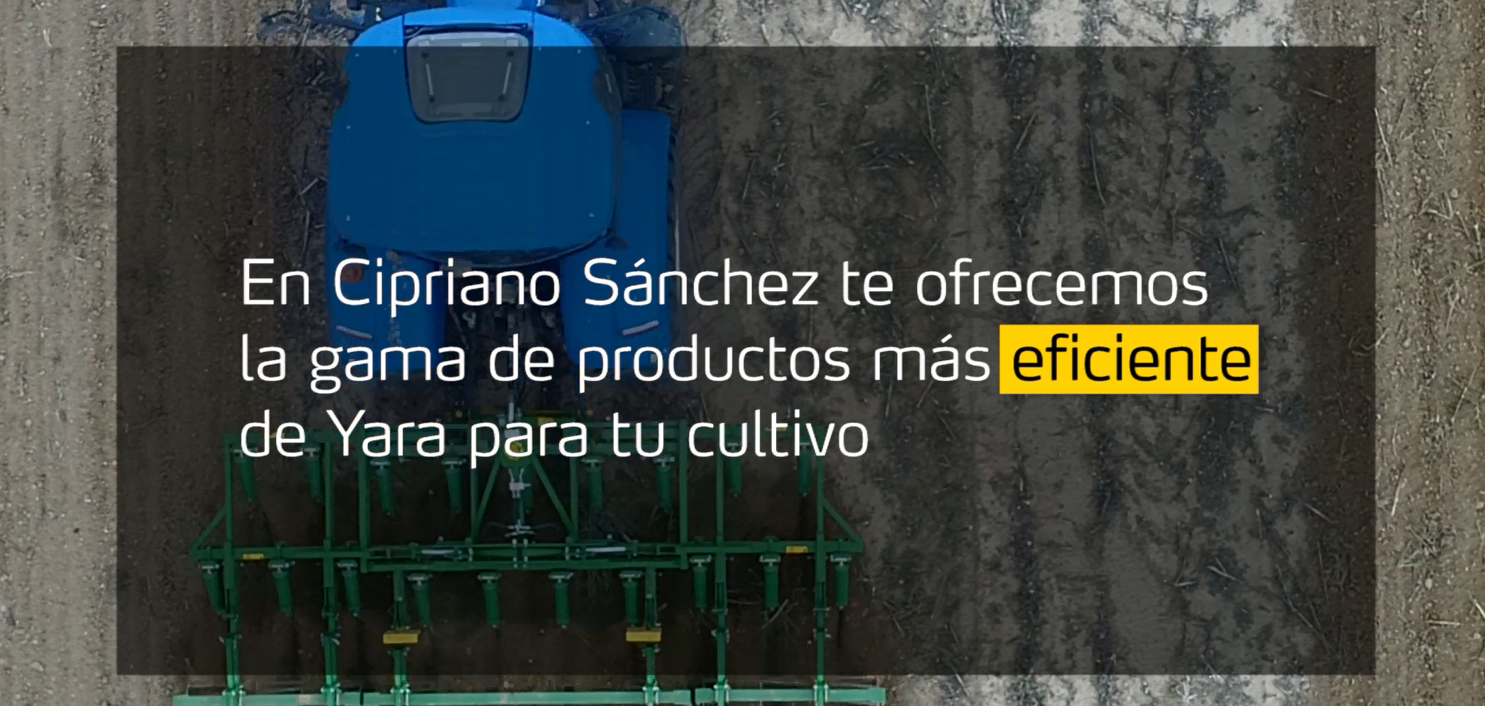 yara, fertilizante, yara escucha, partner, cipriano sanchez