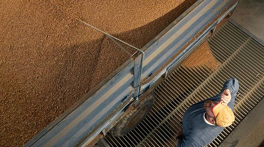 Agricultura rentable