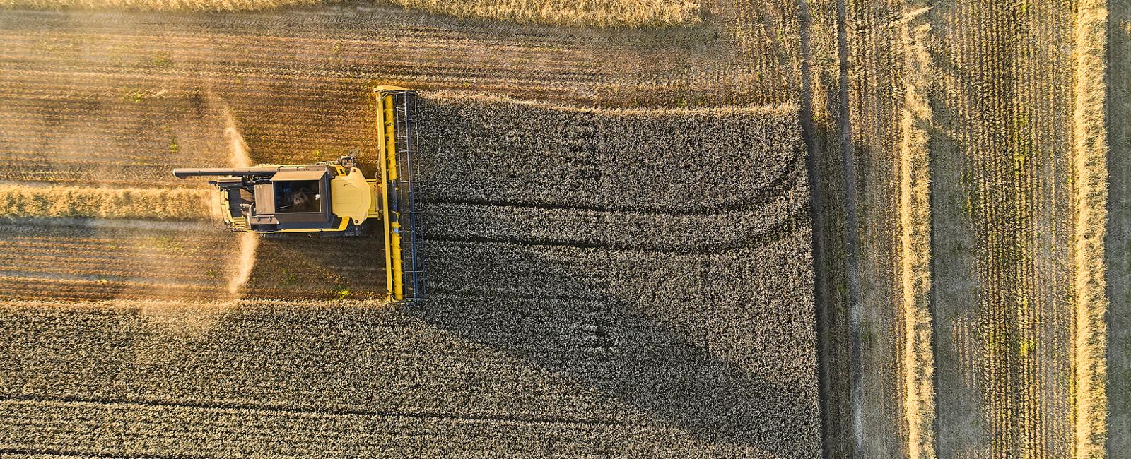Agricultura Regenerativa