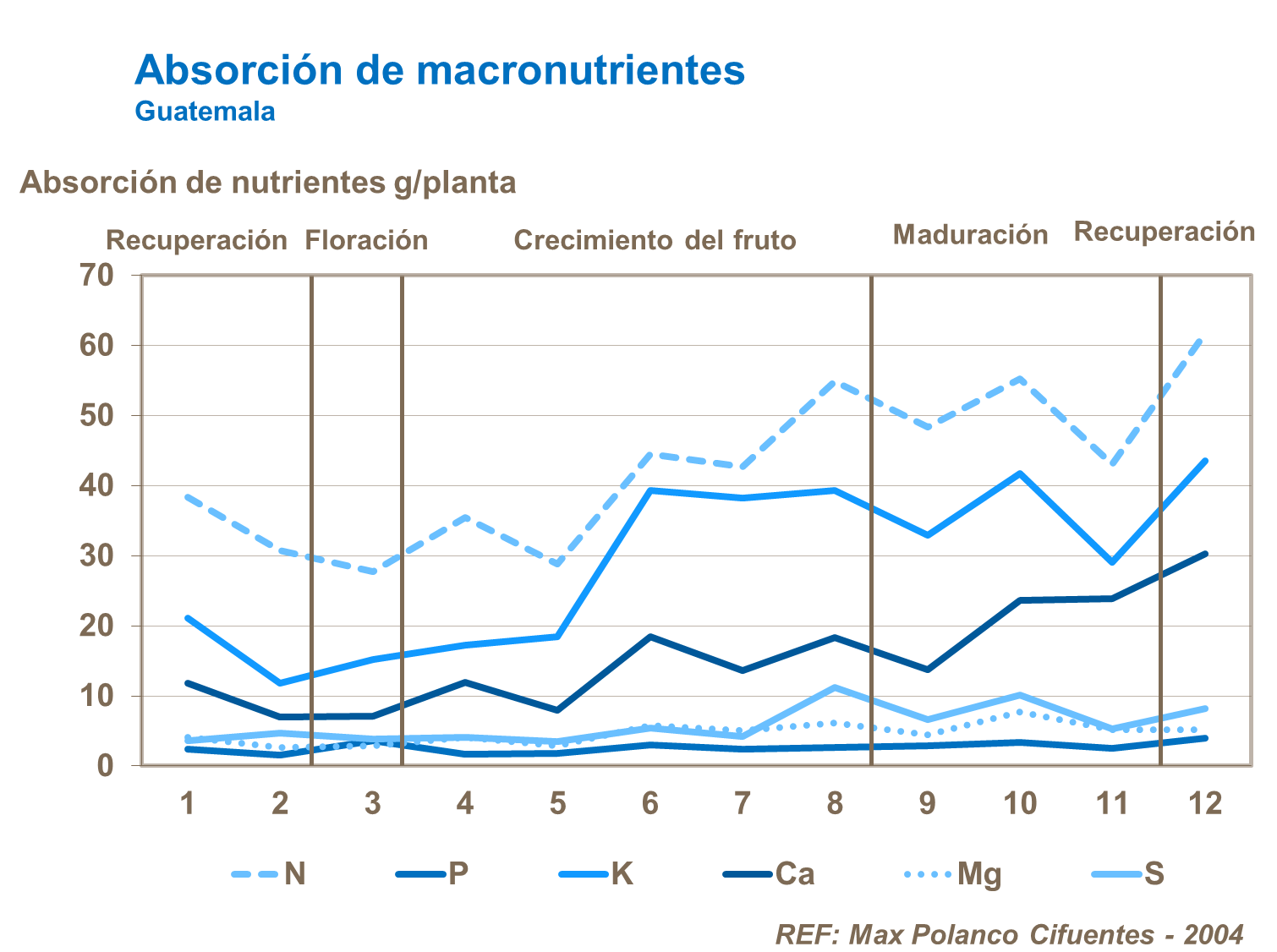 Absorción de macronutrientes