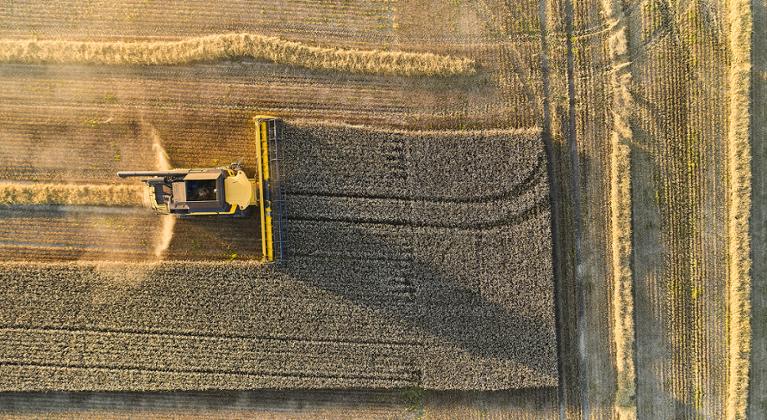 Agricultura Regenerativa