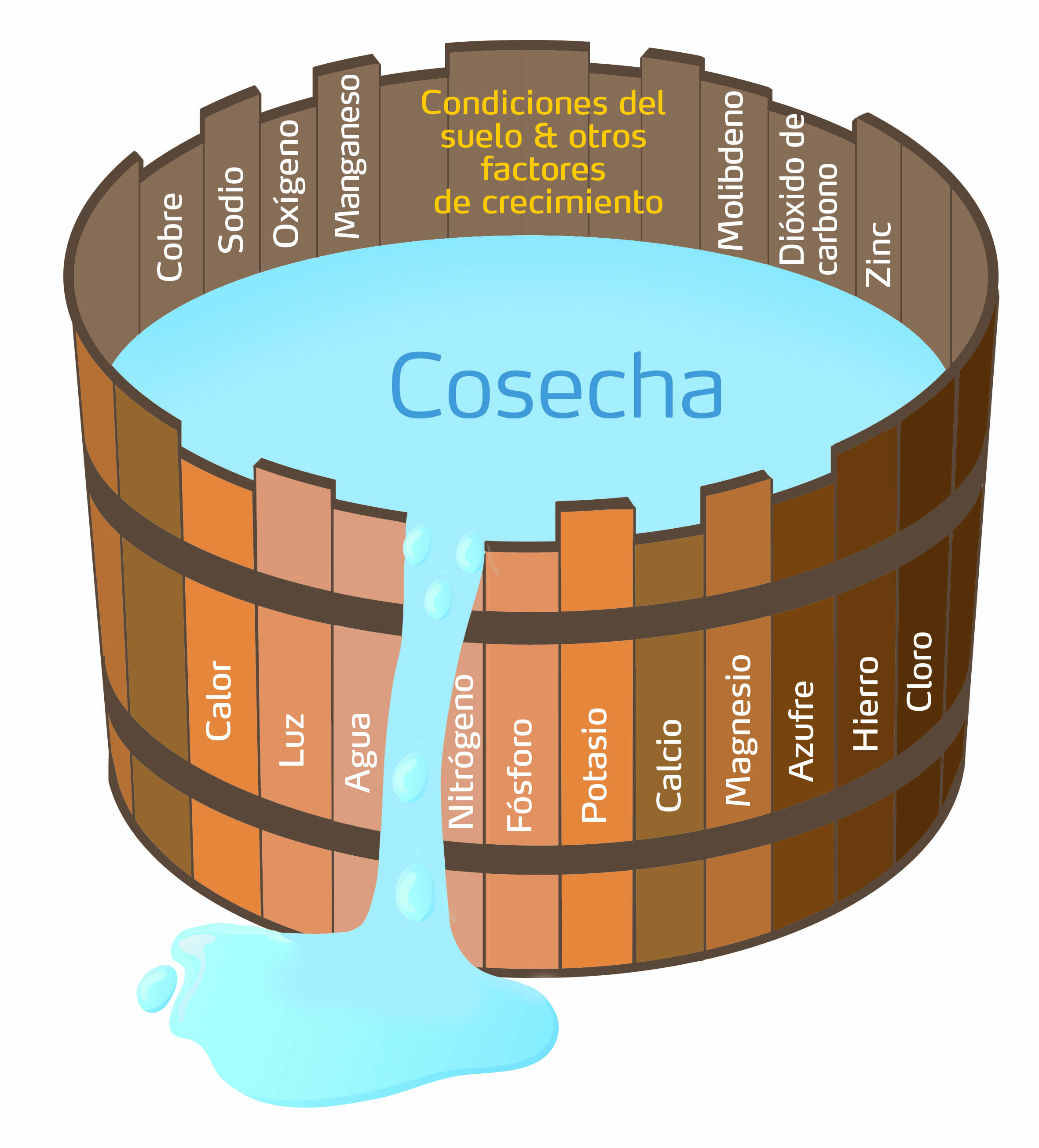 Condiciones del suelo y otros factores de crecimiento.