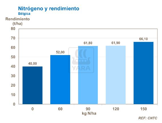 Nitrógeno y rendimiento