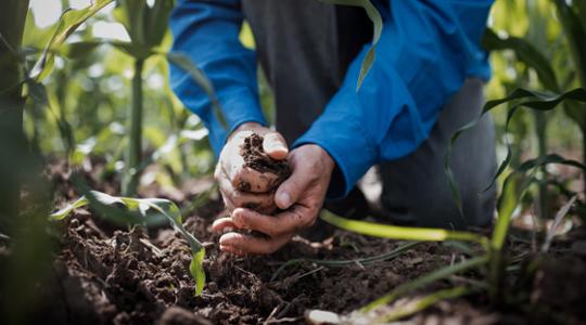 Clasificacion A ESG100