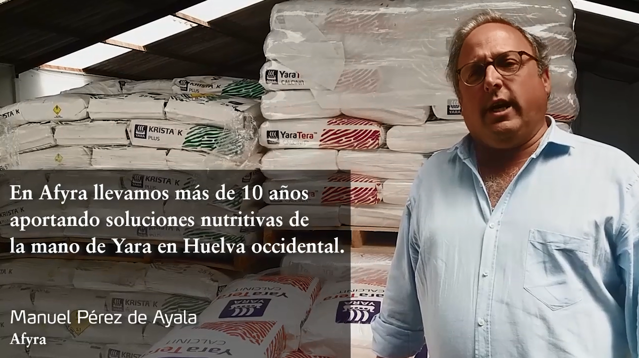 Manuel Perez de Ayala, AFYRA